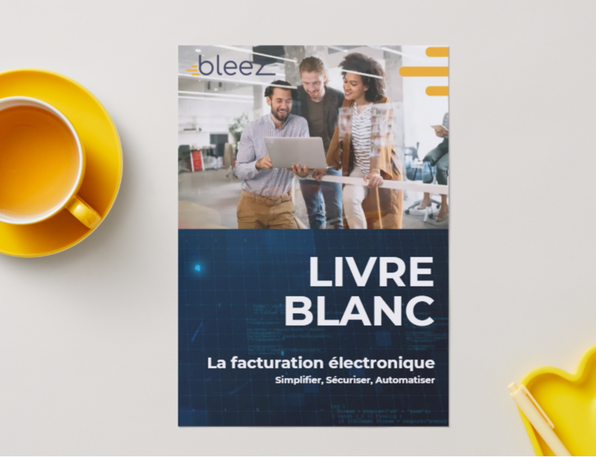 guide facturation électronique PDF
