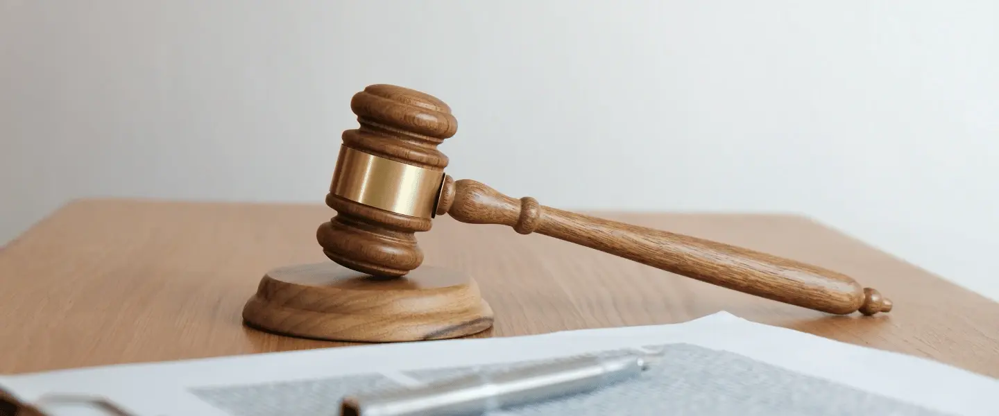 Article de blog Bleez - Certification logiciel, le point sur la loi de finance
